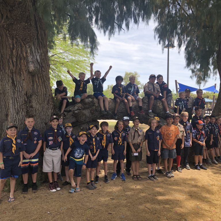 Blue & Gold Picnic 2019